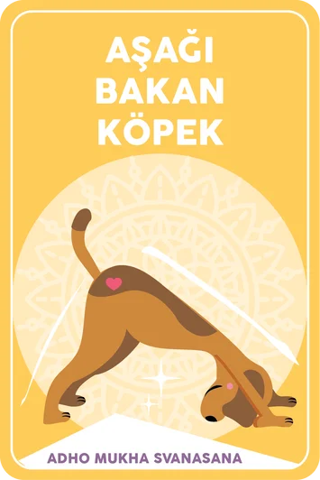 Yoga asana hafıza kartı
